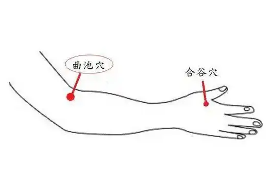 1741523907197850.png 圖片3.png