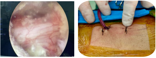 1769851985216863.png 2.png